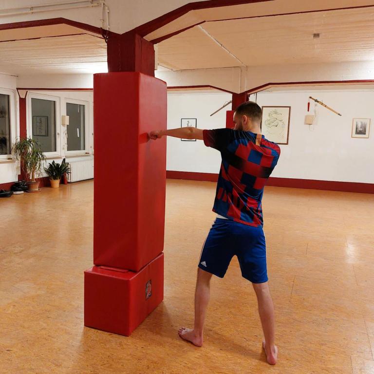 Säulenschutz-Kampfkunst-Anwendung