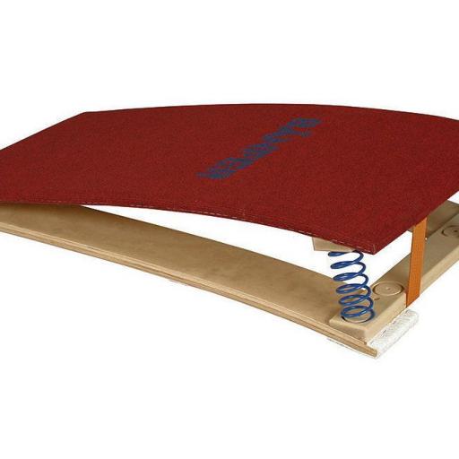 Sprungbrett-Kids-40 - original Bänfer